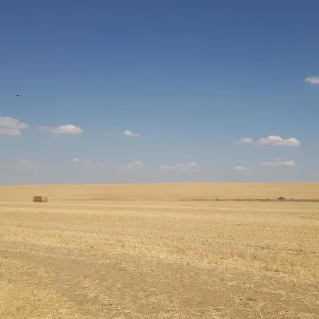 El Caminero Papatrigo