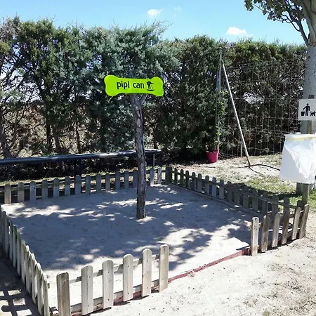 El Caminero